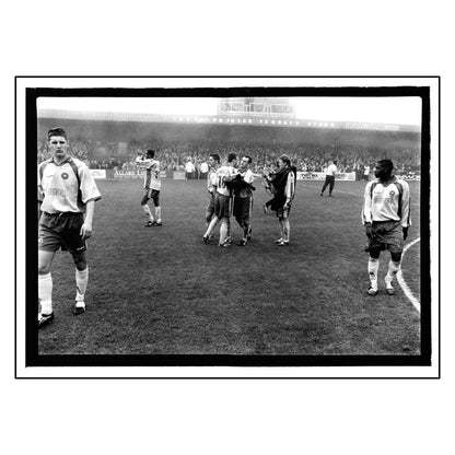The Gulls 1985-05 | Marcus Davies